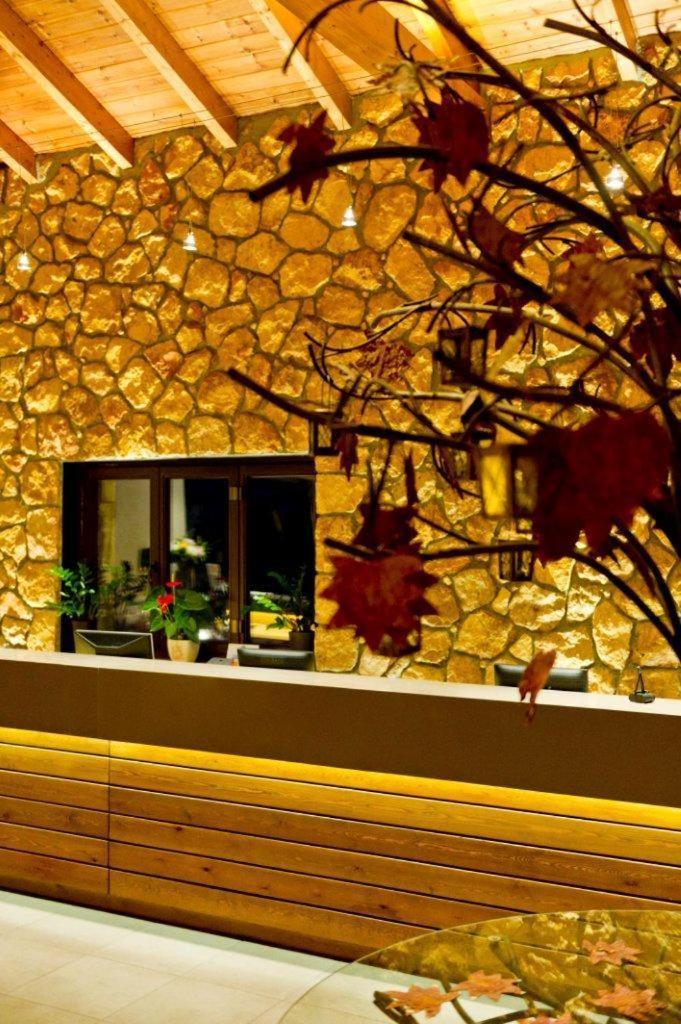 Pliadon Gi Mountain Resort & Spa Като-Трикала-Коринтия Экстерьер фото